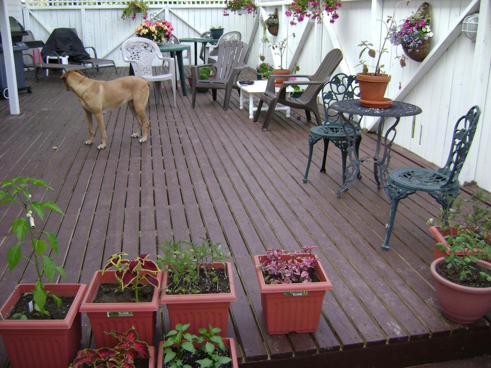 יארמות Lakelawn B&B And Motel מראה חיצוני תמונה